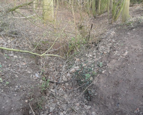 The channel making its way to the Close