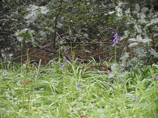 Getting bluer by the day