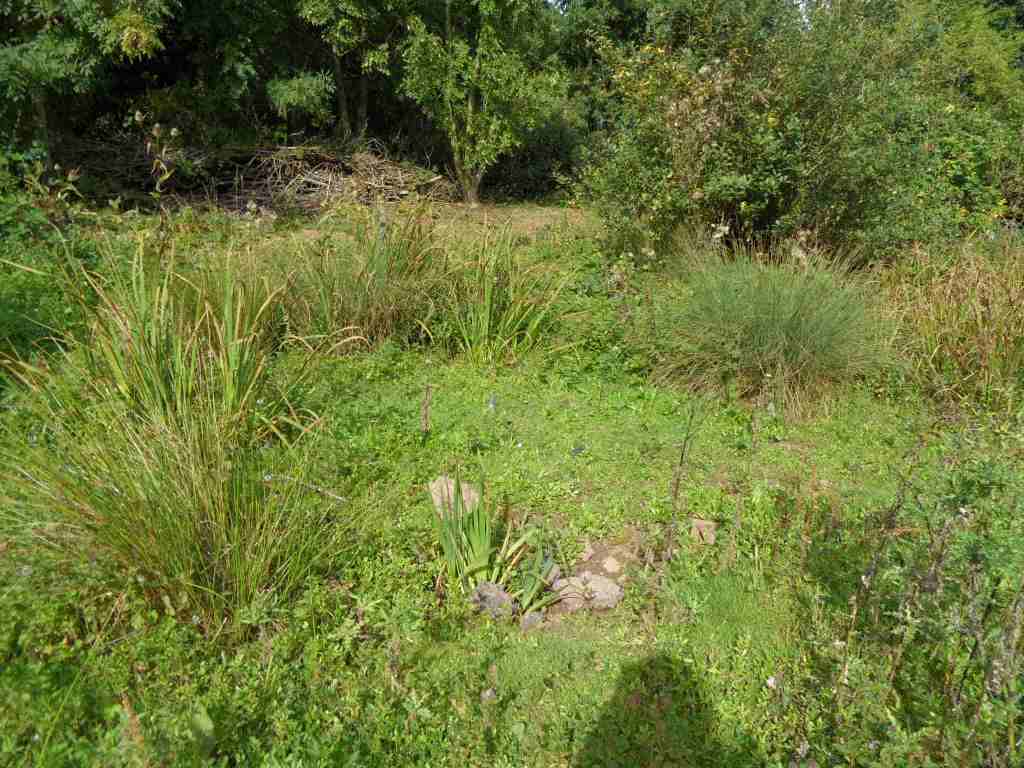Possible well, nr Christian Fields
