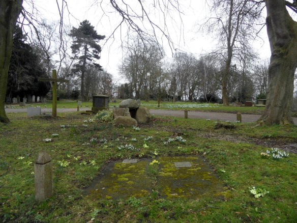 Spring flowers at St Michael's