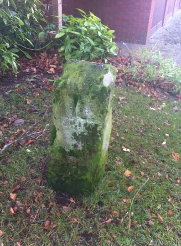 leomansley stone 2