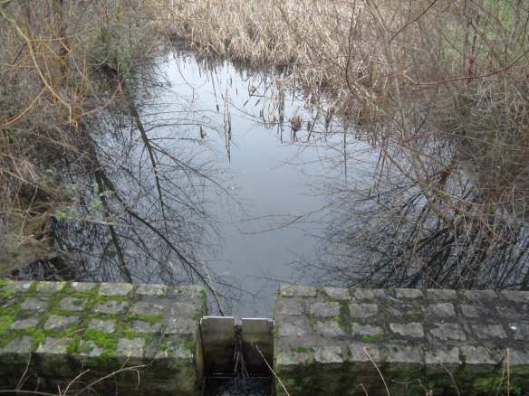 There's not much left to suggest there was a mill here although there are sluice gates along the brook