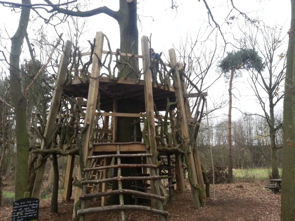 The Moseley Old Hall Tree House