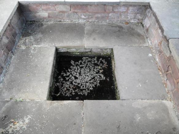 St Chad's Well Lichfield,  only decorated by nature these days.