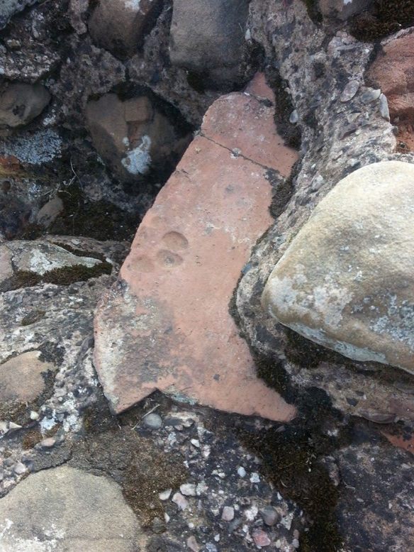 Life at Letocetum...se if you can spot the two thousand year old (ish!) paw print somewhere on the site...