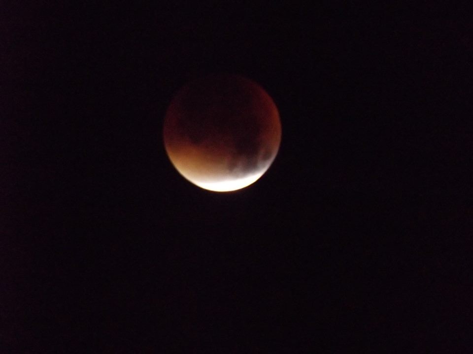 Blood Moon. Just in case you didn't see one of the three million photos of it shared online,
