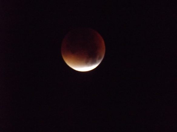 Blood Moon. Just in case you didn't see one of the three million photos of it shared online,