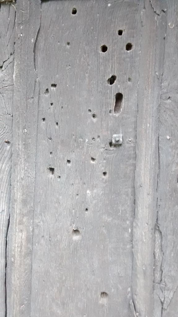 Holes in the door
