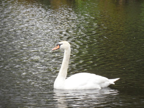 7435531646_b52f6b5e14_k