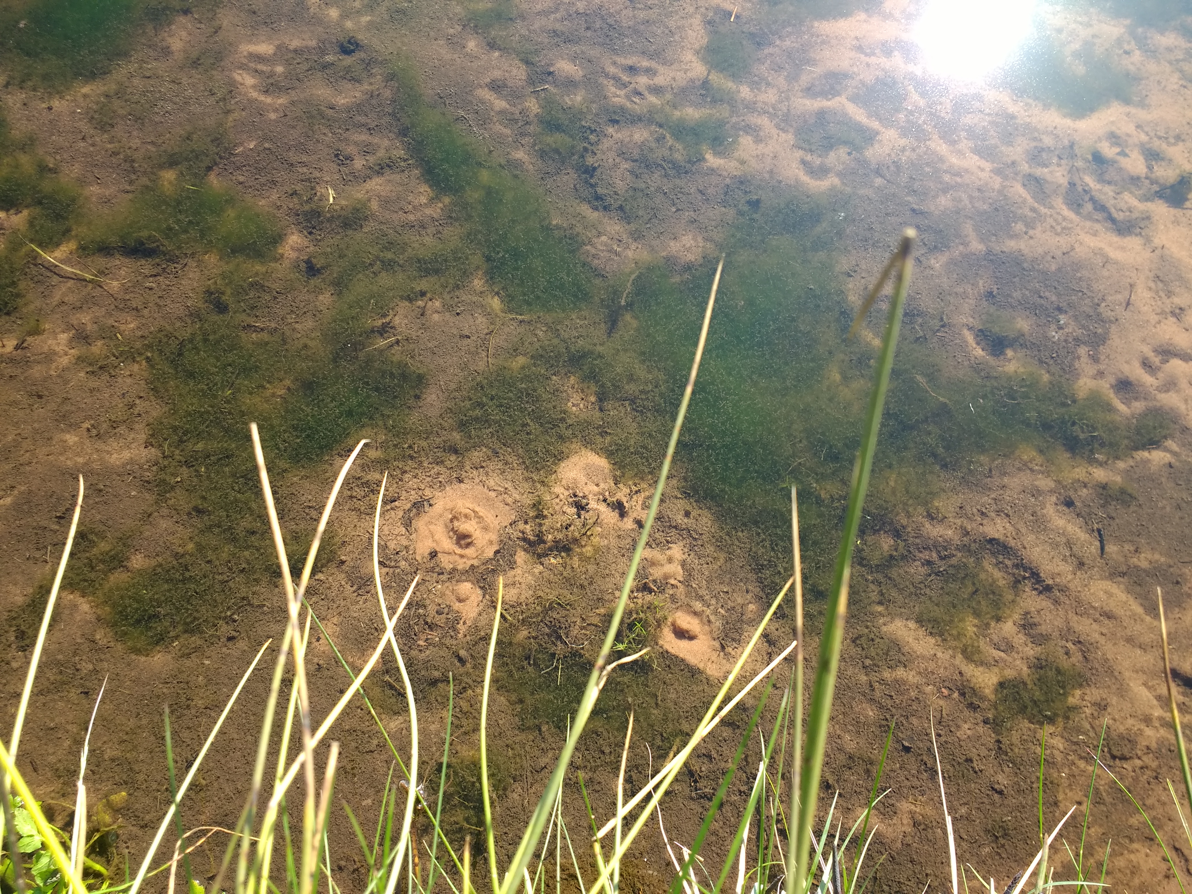 IMG_20180505_094853328