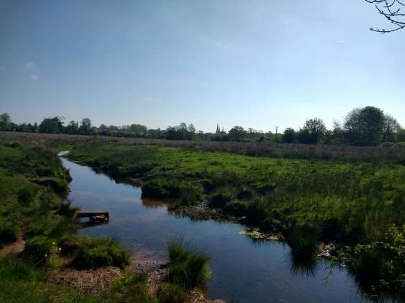 Leomansley Brook May 2018